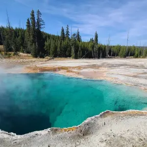 Explore Private- 5 Day- Yellowstone and Grand Teton National Park in Depth- Hotel Based for 5 days with Bindlestiff Tours and discover unforgettable experiences - Photo 4