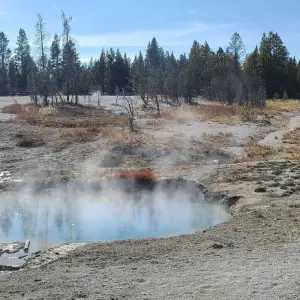 Explore Private- 5 Day- Yellowstone and Grand Teton National Park in Depth- Hotel Based for 5 days with Bindlestiff Tours and discover unforgettable experiences - Photo 5