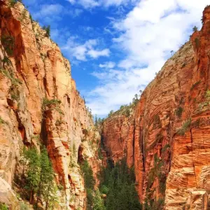 Explore Bryce & Zion Overnight Tour for 2 days with Bindlestiff Tours and discover unforgettable experiences - Photo 8