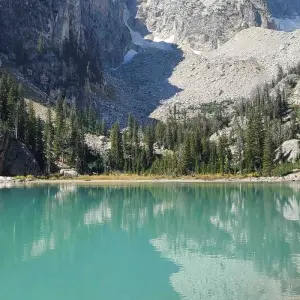 Explore Private- 5 Day- Yellowstone and Grand Teton National Park in Depth- Hotel Based for 5 days with Bindlestiff Tours and discover unforgettable experiences - Photo 8