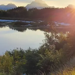 Explore Private- 5 Day- Yellowstone and Grand Teton National Park in Depth- Hotel Based for 5 days with Bindlestiff Tours and discover unforgettable experiences - Photo 9