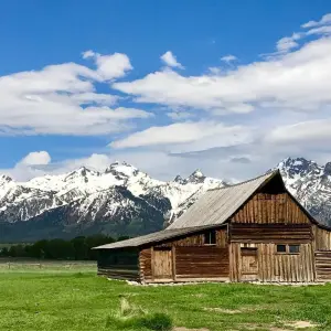 Explore Private- 5 Day- Yellowstone and Grand Teton National Park in Depth- Hotel Based for 5 days with Bindlestiff Tours and discover unforgettable experiences - Photo 11