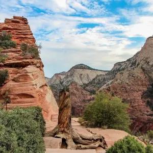 Explore Private Tour- Best of the West 11 Day National Parks Tour Lodging Las Vegas to San Francisco for 11 days with Bindlestiff Tours and discover unforgettable experiences - Photo 10