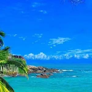 Explore Private tour in the paradise islands : Nosy Be and Sainte Marie for 15 days with Bio D Island LLC and discover unforgettable experiences - Photo 7