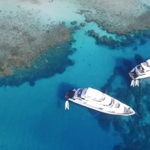 Explore Snorkeling by Boat to Ras Mohamed for 1 days with Booking To Egypt and discover unforgettable experiences - Photo 4