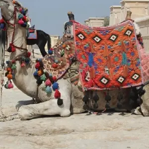 Explore 6 Days Cairo & Alexandria Tour for 6 days with Booking To Egypt and discover unforgettable experiences - Photo 6