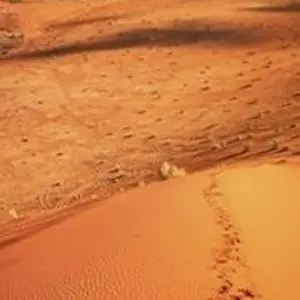 Explore Petra, Wadi Rum and Dead Sea 4 days for 4 days with Booking Tours and discover unforgettable experiences - Photo 10