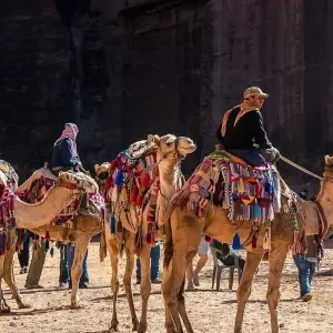 Explore Israel 10 days with Petra for 10 days with Booking Tours and discover unforgettable experiences - Photo 9