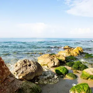 Explore Jewish Israel Luxury Tour 10 days for 10 days with Booking Tours and discover unforgettable experiences - Photo 5