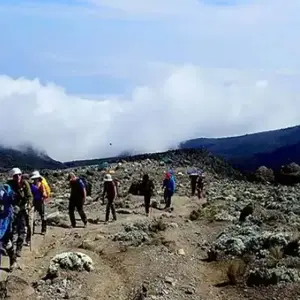 Explore TANZANIA – Kilimanjaro with Safari & Zanzibar for 16 days with Bucket List Group Travel LLC and discover unforgettable experiences - Photo 7