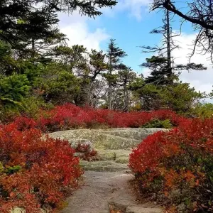 Explore USA – Best of Acadia National Park Maine for 5 days with Bucket List Group Travel LLC and discover unforgettable experiences - Photo 5