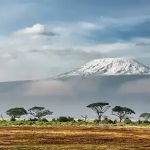 Explore TANZANIA – Kilimanjaro 7 Day Machame Route Trekking for 8 days with Bucket List Group Travel LLC and discover unforgettable experiences - Photo 3