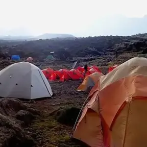 Explore TANZANIA – Kilimanjaro 7 Day Machame Route Trekking for 8 days with Bucket List Group Travel LLC and discover unforgettable experiences - Photo 4