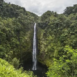 Explore USA – Hawaii Big Island Volcanoes & Beaches for 5 days with Bucket List Group Travel LLC and discover unforgettable experiences - Photo 8