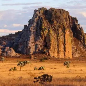 Explore Discover Madagascar for 13 days with Bunnik Tours and discover unforgettable experiences - Photo 3
