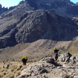 Explore 8 days Mount Kenya Trek with Lake Nakuru and Masai Mara mid range Safari 2025 for 8 days with CKC Tours & Travel and discover unforgettable experiences - Photo 5