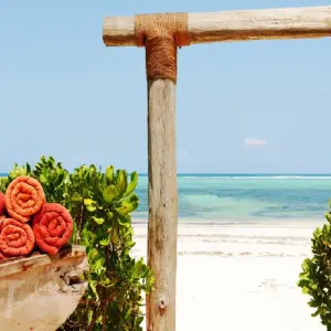 Explore 18 days Kenya, Tanzania and Uganda Safari with Zanzibar Beach Tour 2025 for 18 days with CKC Tours & Travel and discover unforgettable experiences - Photo 2
