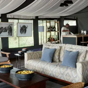 Explore 9 days Kenya and Tanzania High End Flying Safari Holiday 2025 for 9 days with CKC Tours & Travel and discover unforgettable experiences - Photo 2