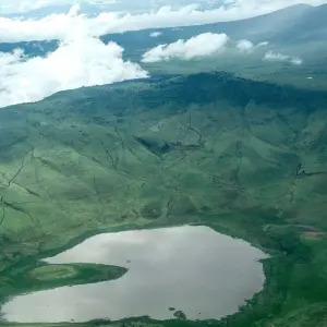 Explore 6 days Kenya and Tanzania medium range driving Safari 2025 for 6 days with CKC Tours & Travel and discover unforgettable experiences - Photo 4