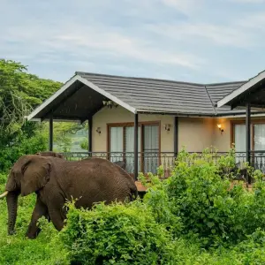 Explore 9 days Kenya and Tanzania High End Flying Safari Holiday 2025 for 9 days with CKC Tours & Travel and discover unforgettable experiences - Photo 3