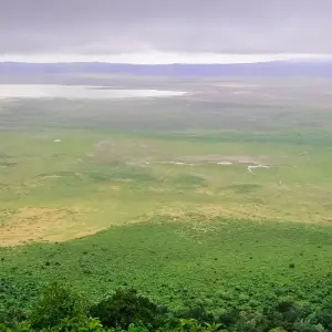 Explore 6 days Kenya and Tanzania medium range driving Safari 2025 for 6 days with CKC Tours & Travel and discover unforgettable experiences - Photo 5
