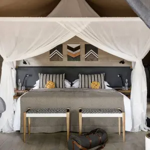 Explore 9 days Kenya and Tanzania High End Flying Safari Holiday 2025 for 9 days with CKC Tours & Travel and discover unforgettable experiences - Photo 4
