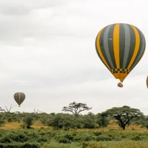 Explore 6 days Kenya and Tanzania medium range driving Safari 2025 for 6 days with CKC Tours & Travel and discover unforgettable experiences - Photo 6