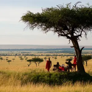Explore 8 days Kenya Luxury Flying Safari Holiday for 8 days with CKC Tours & Travel and discover unforgettable experiences - Photo 2