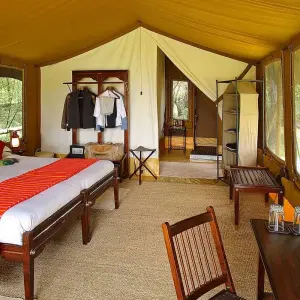 Explore 9 days Kenya and Tanzania High End Flying Safari Holiday 2025 for 9 days with CKC Tours & Travel and discover unforgettable experiences - Photo 6