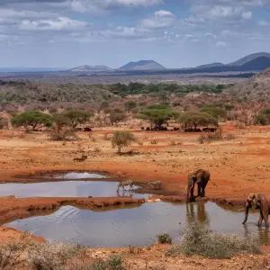 Explore 22 days Kenya mid range Safari with Diani Beach Tour 2025 for 21 days with CKC Tours & Travel and discover unforgettable experiences - Photo 4