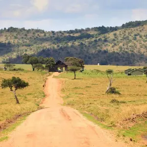 Explore 22 days Kenya mid range Safari with Diani Beach Tour 2025 for 21 days with CKC Tours & Travel and discover unforgettable experiences - Photo 5