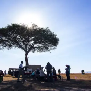 Explore 3 Days Kenya Masai Mara Medium Range Joining safari for 3 days with CKC Tours & Travel and discover unforgettable experiences - Photo 9