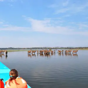 Explore 30 days Kenya Tanzania and Zanzibar Insight Holiday for 30 days with CKC Tours & Travel and discover unforgettable experiences - Photo 5