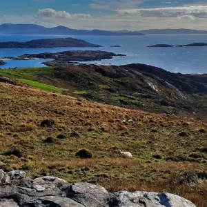 Explore Scottish & Irish Dream - 13 Days/12 Nights for 13 days with CIE Tours and discover unforgettable experiences - Photo 6