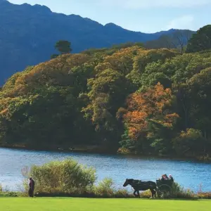 Explore Taste of Ireland (Tour D) - 6 Days/5 Nights for 6 days with CIE Tours and discover unforgettable experiences - Photo 10