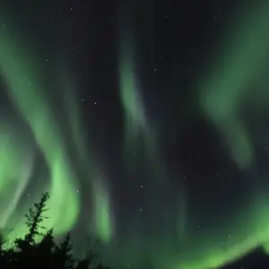 Explore 8-Day Yellowknife Northern Lights & Rockies Autumn Tour | Explore the Aurora and National Parks for 8 days with Calgary Tours and discover unforgettable experiences - Photo 8
