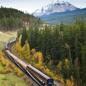 Explore 8-Day Vancouver Explorer & Rocky Mountaineer Tour: Deluxe Train Journey to the Rockies for 8 days with Calgary Tours and discover unforgettable experiences - Photo 4