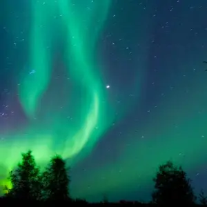Explore 8-Day Yellowknife Northern Lights & Rockies Autumn Tour | Explore the Aurora and National Parks for 8 days with Calgary Tours and discover unforgettable experiences - Photo 9