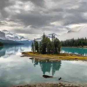 Explore 5-Day Rockies Tour: Banff, Yoho, Columbia Icefield & Waterton National Parks Adventure for 5 days with Calgary Tours and discover unforgettable experiences - Photo 3