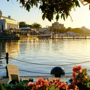 Explore 8-Day Vancouver Explorer & Rocky Mountaineer Tour: Deluxe Train Journey to the Rockies for 8 days with Calgary Tours and discover unforgettable experiences - Photo 11