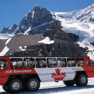 Explore 5-Day Canadian Rockies Adventure: Banff, Jasper & Yoho National Parks Tour for 5 days with Calgary Tours and discover unforgettable experiences - Photo 9