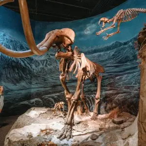 Explore 7-Day Alberta Rockies & Dinosaur Valley Adventure Tour for 7 days with Calgary Tours and discover unforgettable experiences - Photo 10