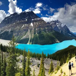 Explore 6-Day Rockies Tour: Banff, Yoho & Kootenay National Parks Adventure for 6 days with Calgary Tours and discover unforgettable experiences - Photo 11