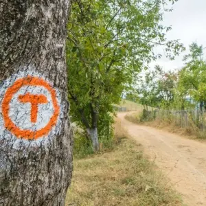 Explore Hiking on the Via Transilvanica in TERRA SAXONUM for 8 days with Carpathian Travel Center and discover unforgettable experiences - Photo 2
