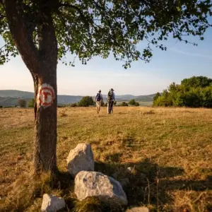Explore Hiking on the Via Transilvanica in TERRA SAXONUM for 8 days with Carpathian Travel Center and discover unforgettable experiences - Photo 3