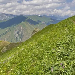 Explore Trekking to lake Sary-Chelek for 8 days with Central Asia Travel LP  and discover unforgettable experiences - Photo 6