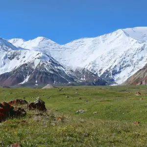 Explore Trekking to the Lenin Peak with climbing Yukhin Peak (5130 m). (Bishkek-Bishkek) for 10 days with Central Asia Travel LP  and discover unforgettable experiences - Photo 9
