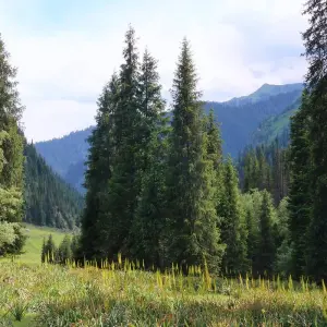 Explore Tien Shan and Uzbekistan (15 days) for 15 days with Central Asia Travel LP  and discover unforgettable experiences - Photo 5