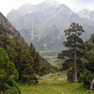 Explore The Best Pamir Trekking (16 days) for 16 days with Central Asia Travel LP  and discover unforgettable experiences - Photo 3