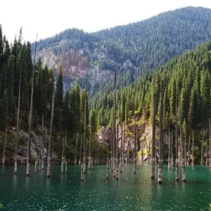 Explore Hidden Treasures of Central Asia: Kazakhstan & Uzbekistan for 11 days with Central Asia Travel LP  and discover unforgettable experiences - Photo 6